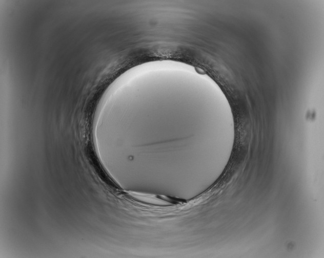 X0000099290031200805231330