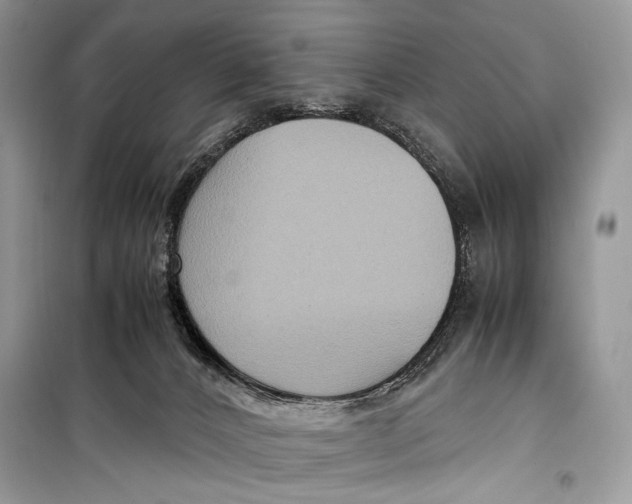 X0000099290032200805231330