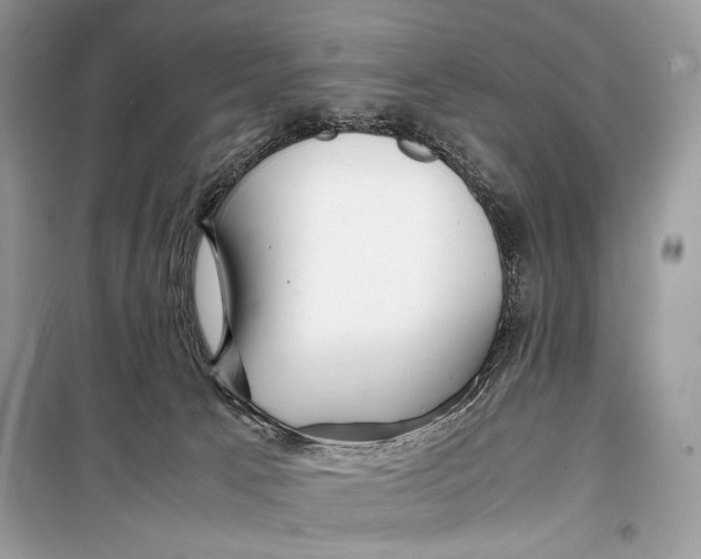 X0000099290033200805231330