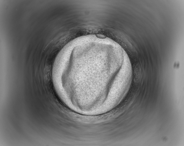 X0000099290034200805231330