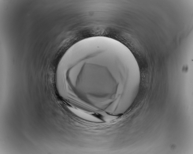 X0000099290035200805231330