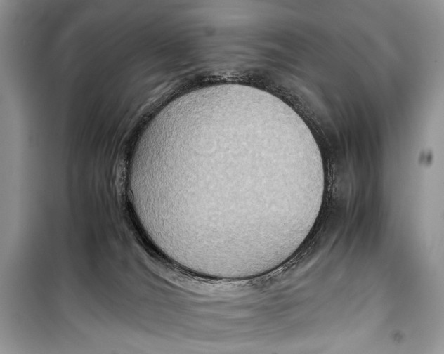 X0000099290036200805231330