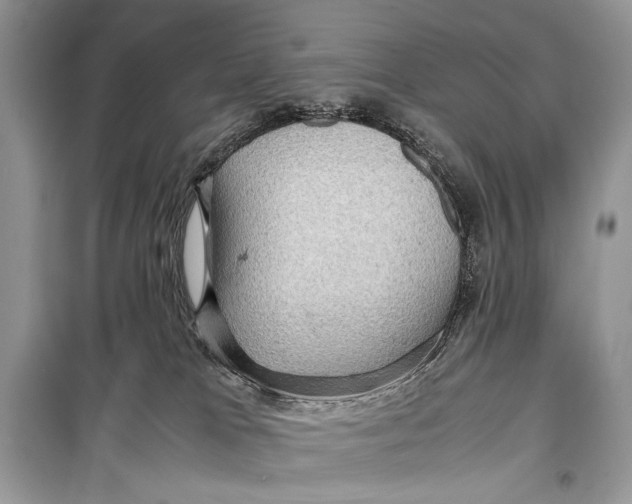 X0000099290037200805231330