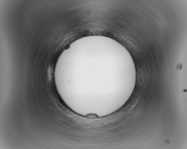 X0000099290038200805231330