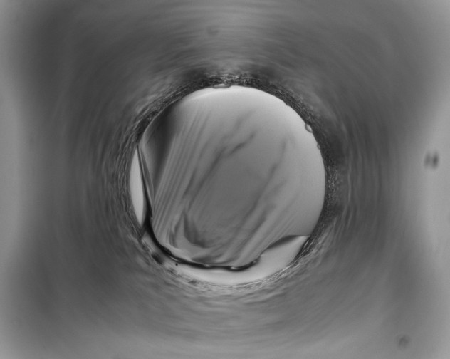 X0000099290039200805231330