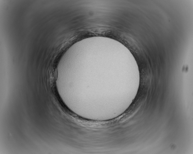 X0000099290040200805231330