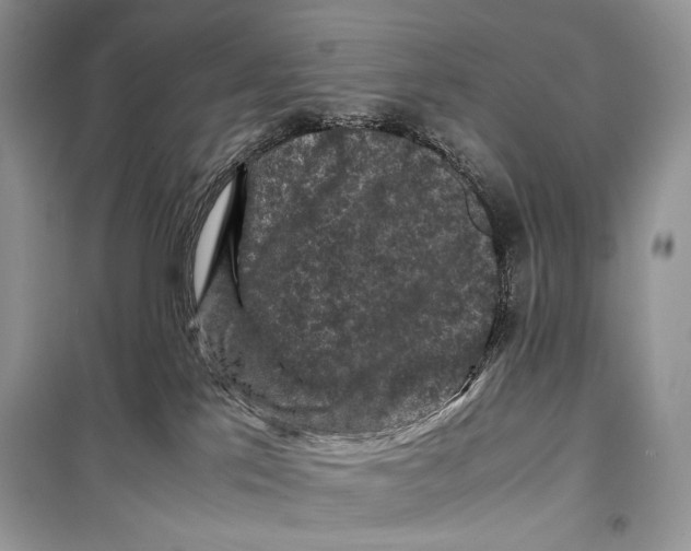 X0000099290041200805231330