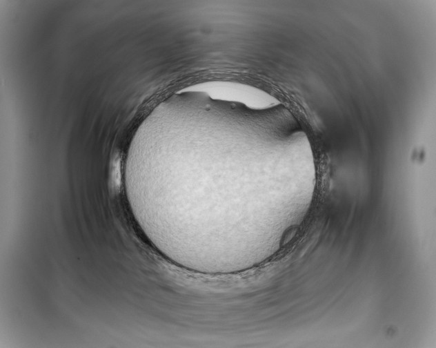 X0000099290042200805231330