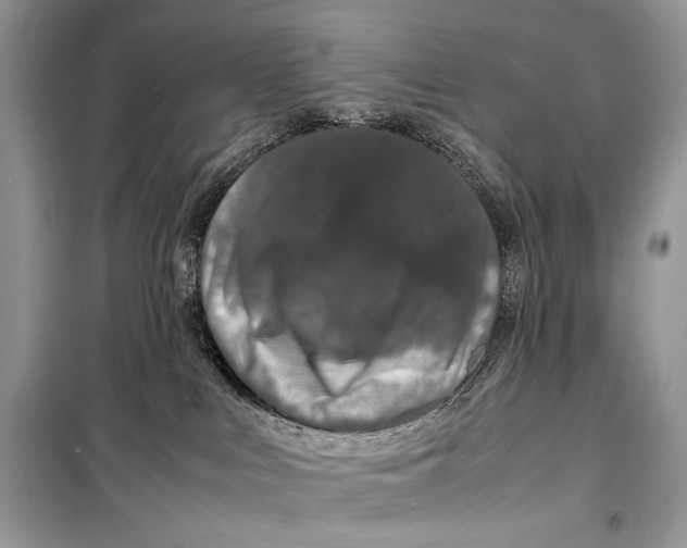 X0000099290043200805231330