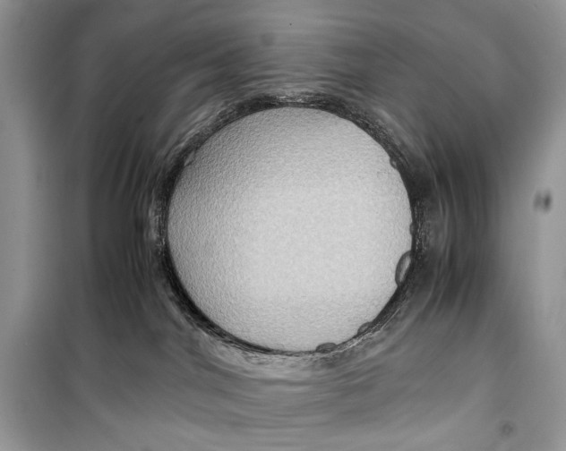 X0000099290044200805231330