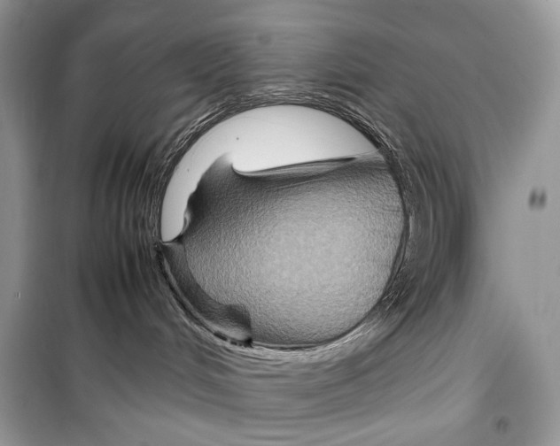 X0000099290048200805231330