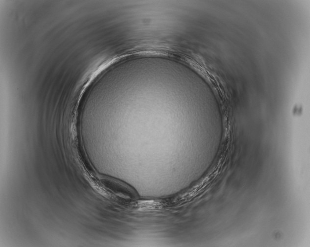 X0000099290050200805231329