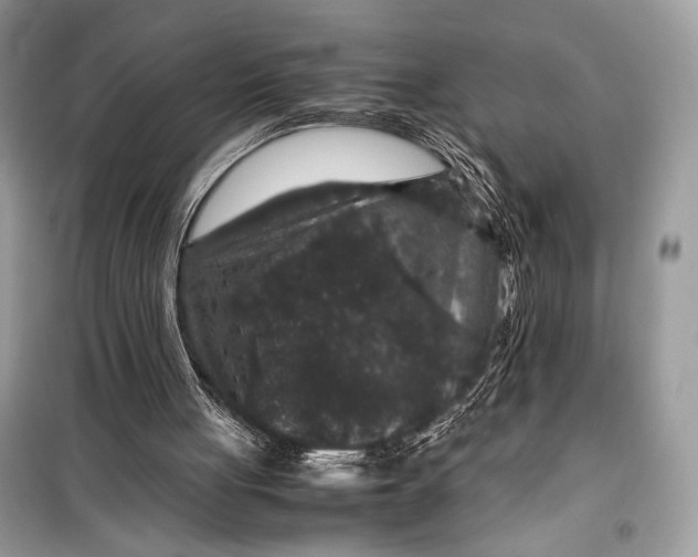 X0000099290051200805231329