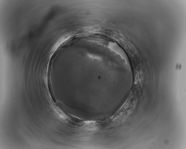 X0000099290052200805231329