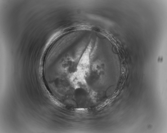 X0000099290053200805231329