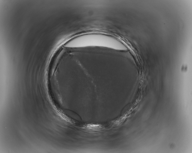 X0000099290055200805231329