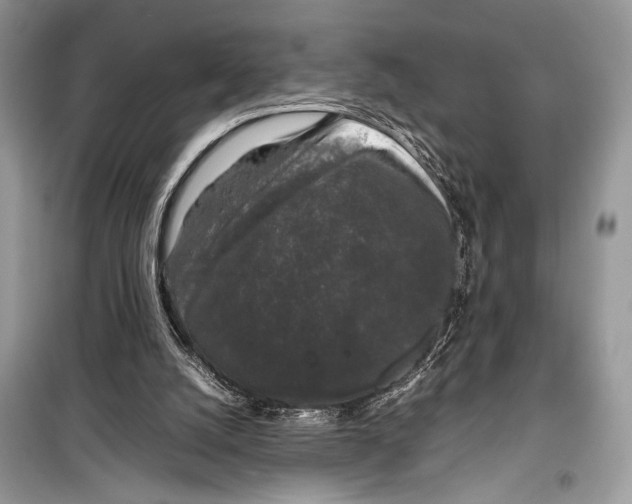 X0000099290056200805231329