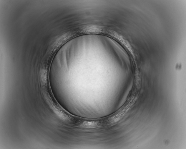 X0000099290057200805231329