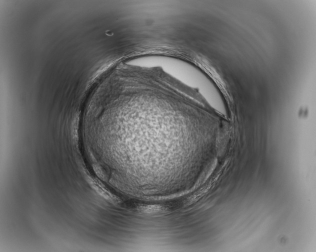 X0000099290058200805231329