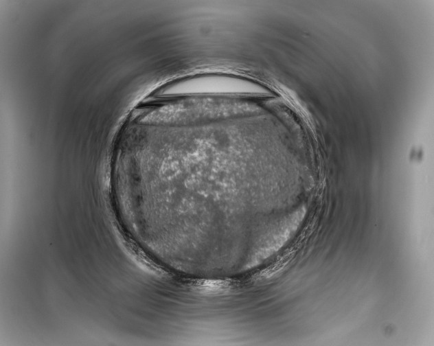 X0000099290060200805231329