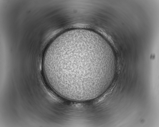 X0000099290062200805231329