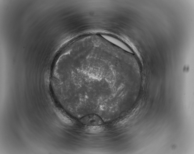 X0000099290063200805231329