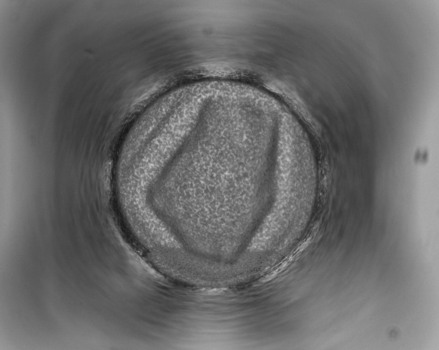 X0000099290066200805231329