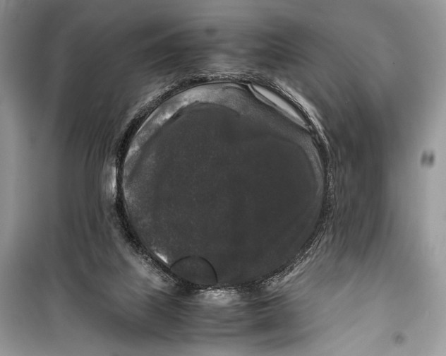 X0000099290067200805231329