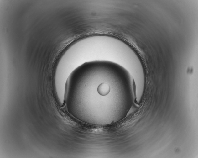 X0000099290068200805231329