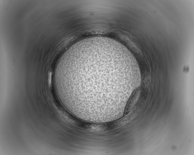 X0000099290070200805231329