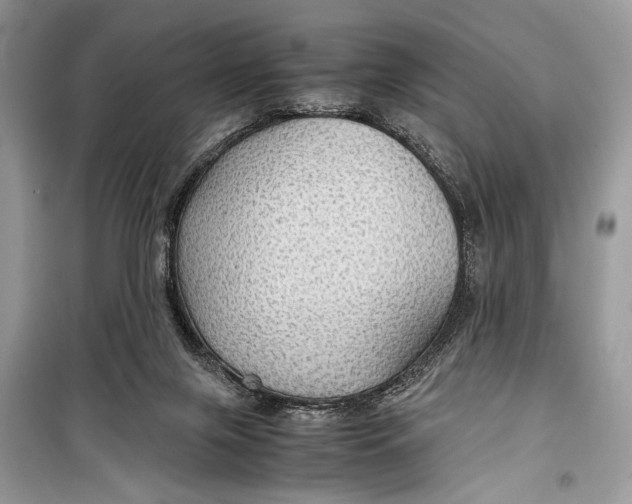 X0000099290071200805231329