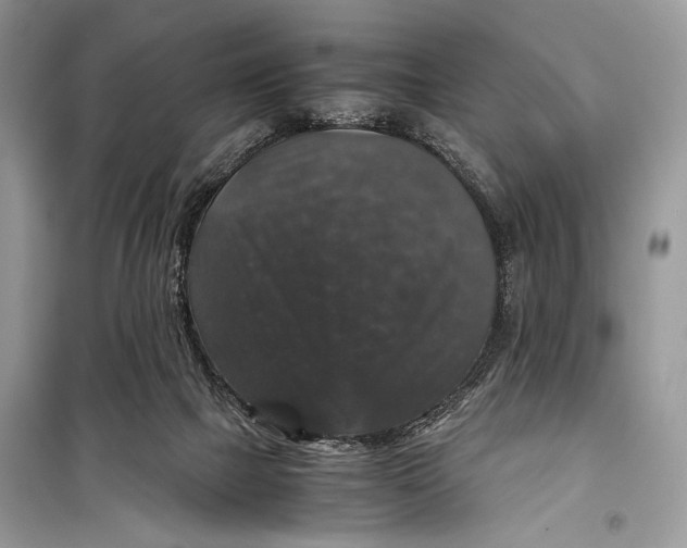 X0000099290073200805231329