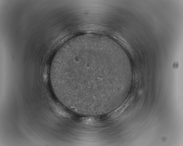 X0000099290074200805231329