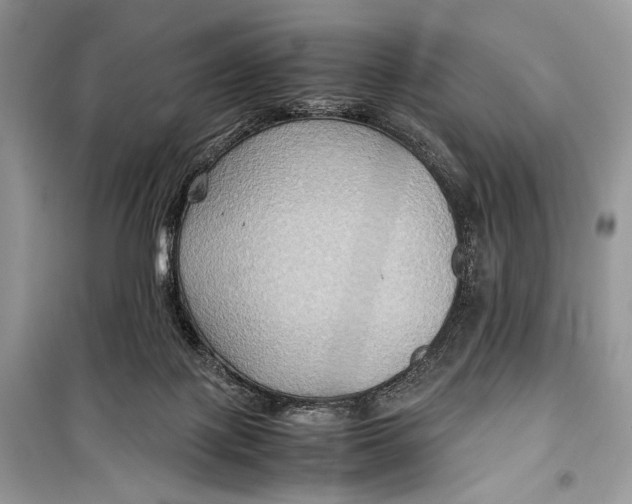 X0000099290075200805231329