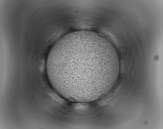 X0000099290077200805231329