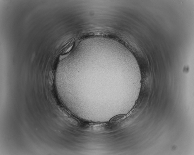 X0000099290078200805231329