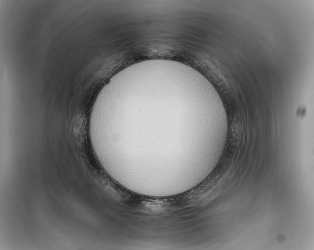 X0000099290079200805231329