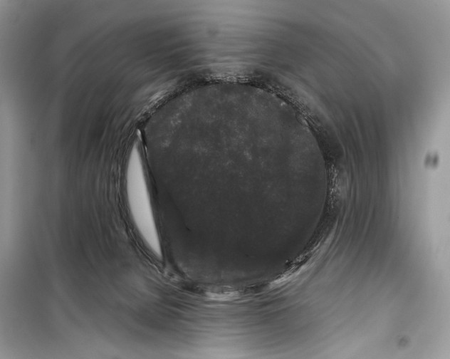 X0000099290080200805231329