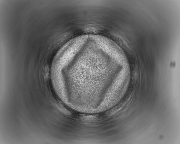 X0000099290081200805231329