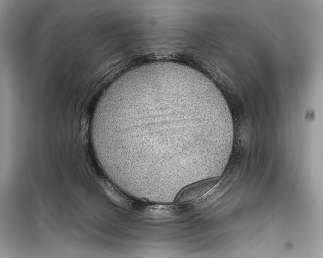 X0000099290082200805231330