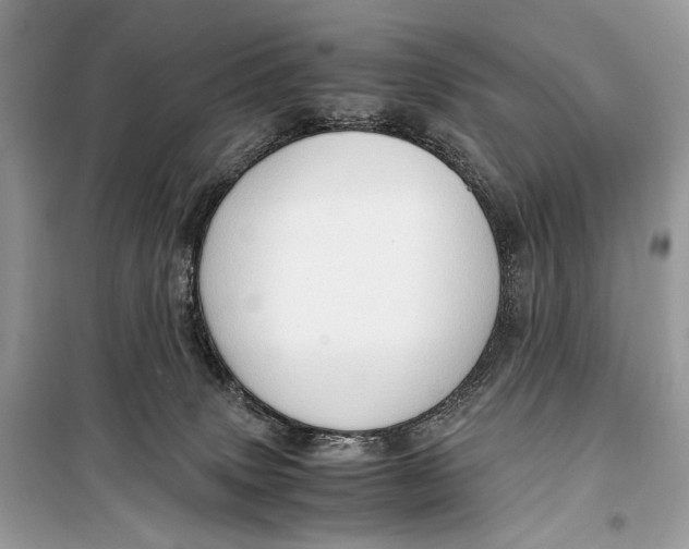 X0000099290083200805231330