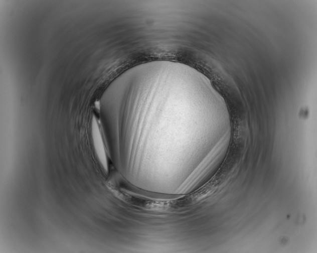 X0000099290084200805231330