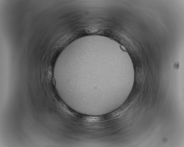 X0000099290085200805231330