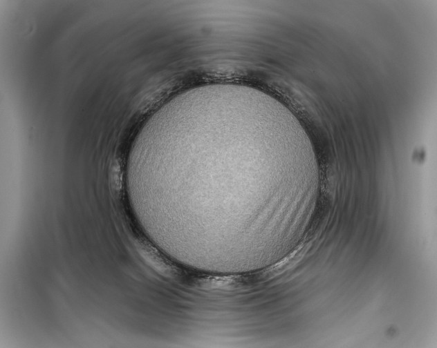 X0000099290086200805231330