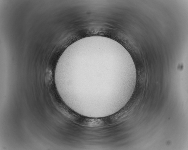 X0000099290087200805231330