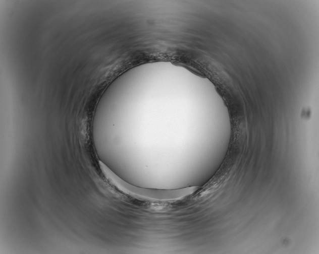 X0000099290088200805231330