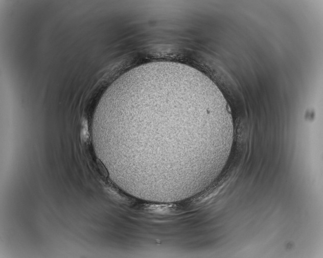 X0000099290089200805231330