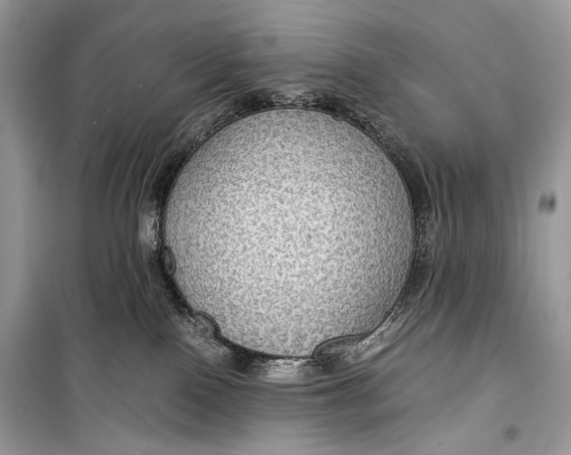 X0000099290090200805231330