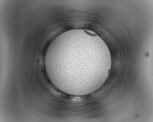 X0000099290091200805231330