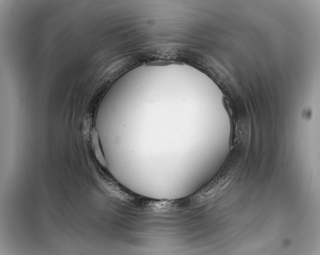 X0000099290092200805231330